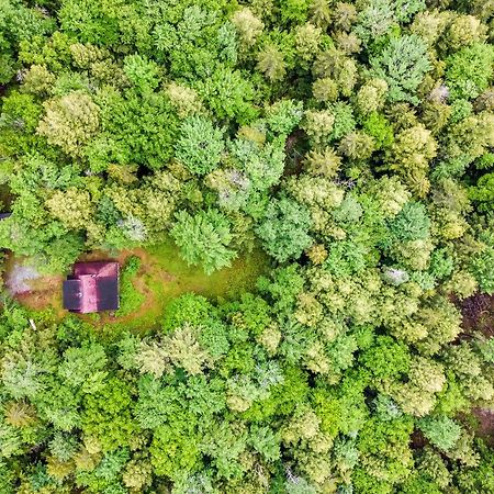 Lost Pond Cabin シュローン・レイク エクステリア 写真